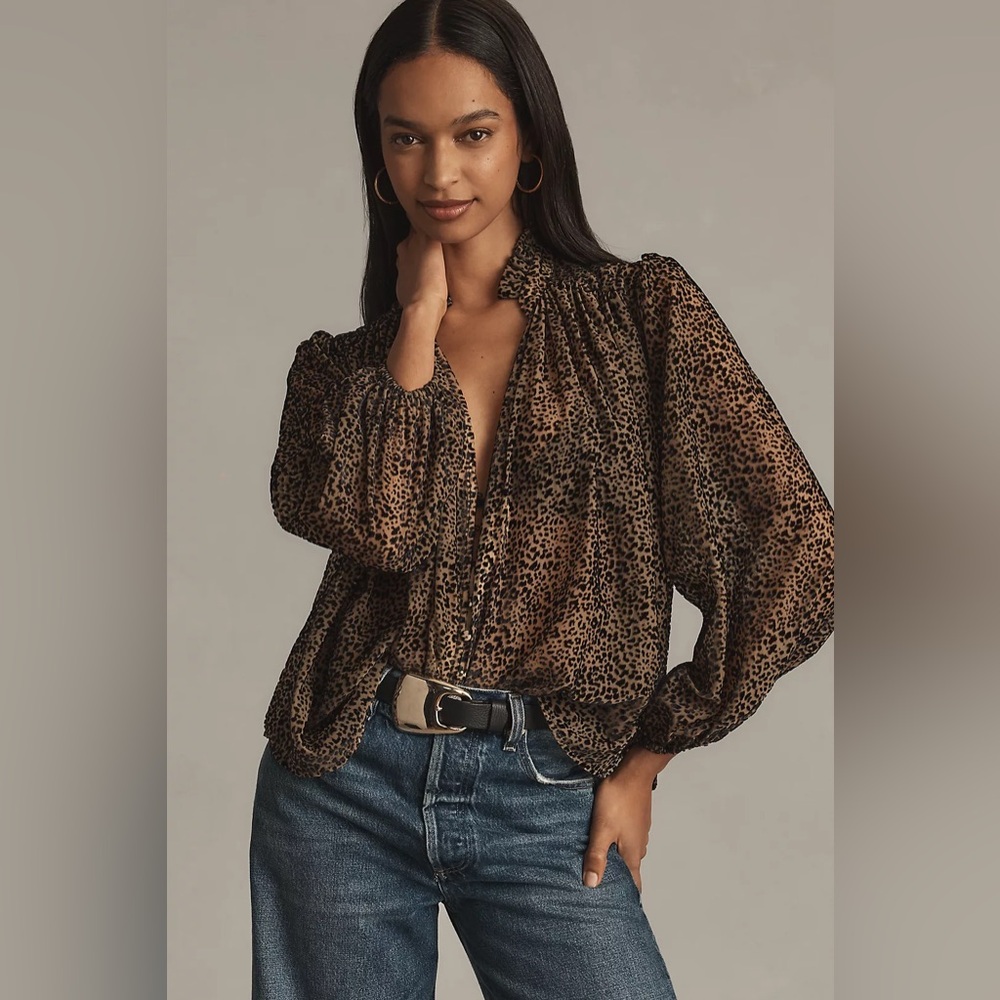 The Estela Sheer Printed Blouse: Burnout Edition